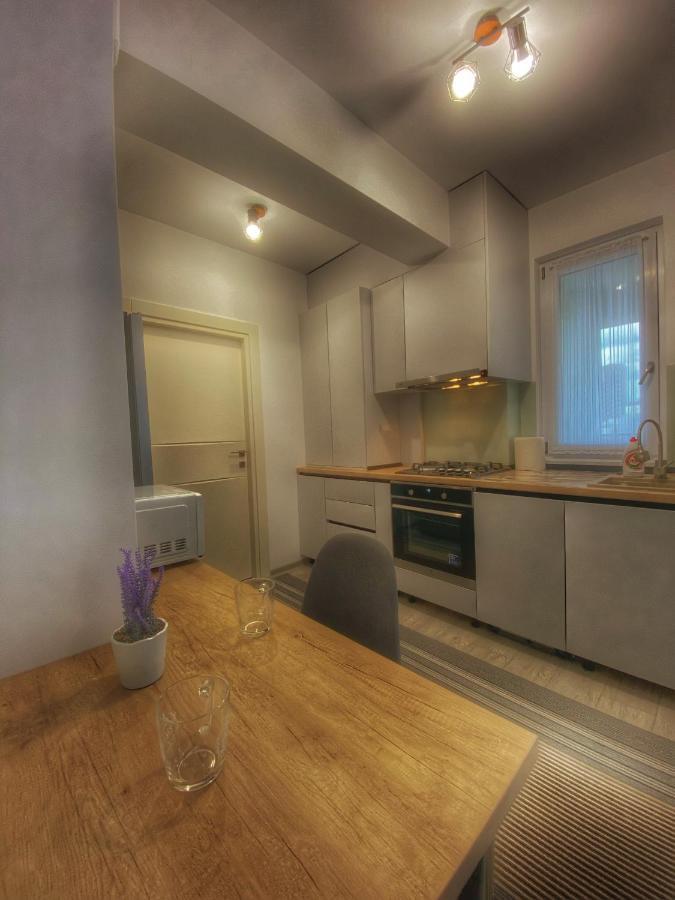 Homey Apartament 2 Rooms Palas Mall Jassy Zewnętrze zdjęcie